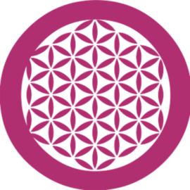 Logo OSM — Open Source Management